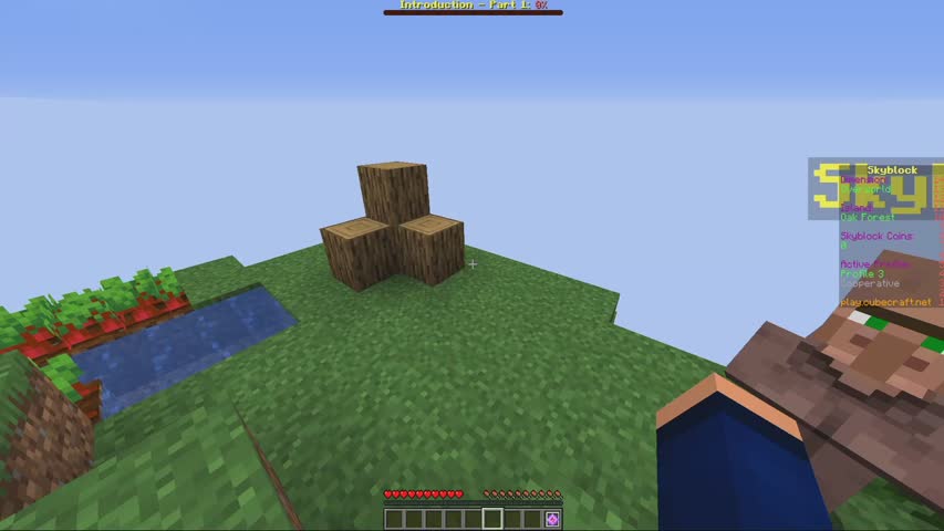 Awesome Skyblock Update Move Villagers Kick From Profiles More